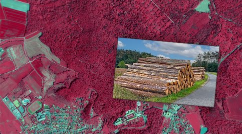 Die Color-Infrarot-Aufnahme zeigt eine Wald- und Siedlungsflächen. Der Wald wird in rot dargestellt, Die Siedlung in Grau. Auf dem Bild liegt ein weiteres Bild welches einen Stapel Baumstämme zeigt.